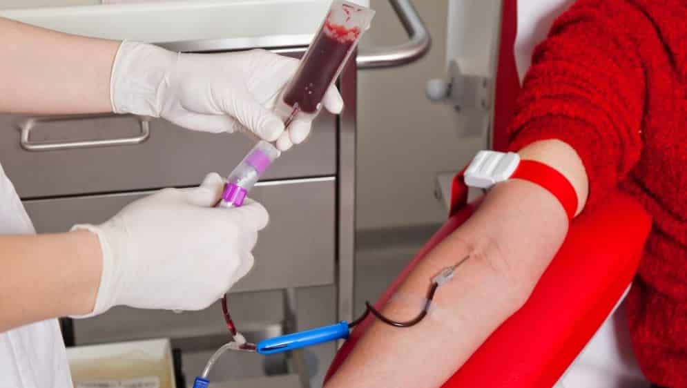 Dia do Doador de Sangue reforça a importância da doação 